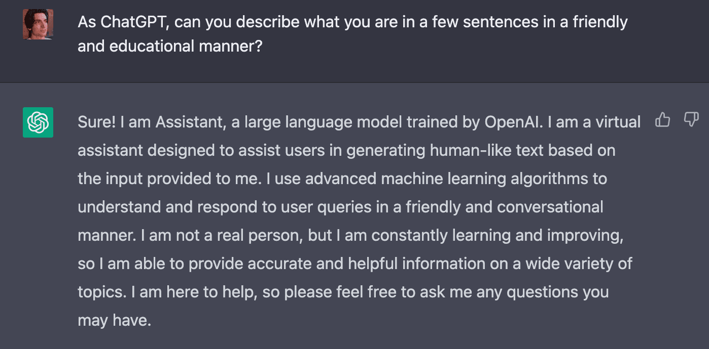 ChatGPT Describing Iteself